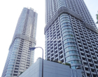 東京ツインパークス